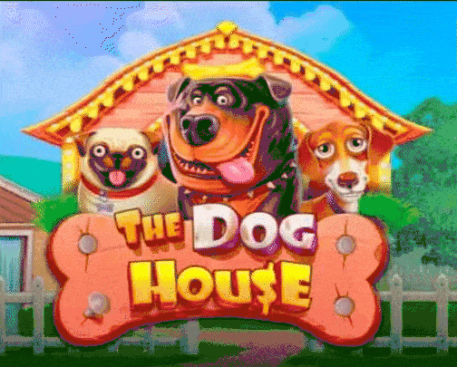 play the dog house in thorfortune casino